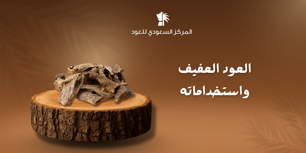 العود العفيف واستخداماته