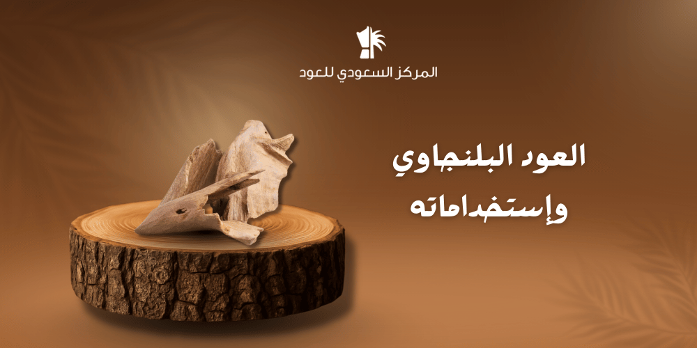 العود البلنجاوي وإستخداماته