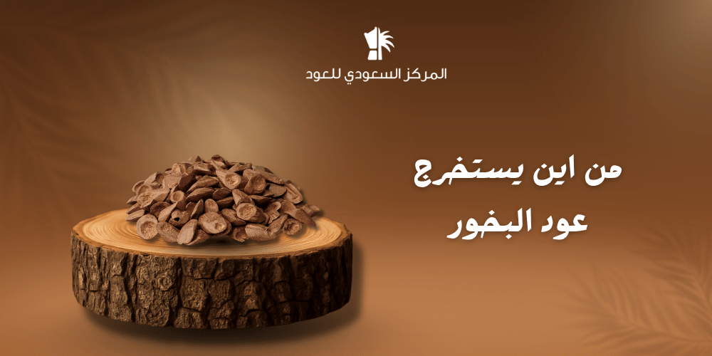 من اين يستخرج عود البخور