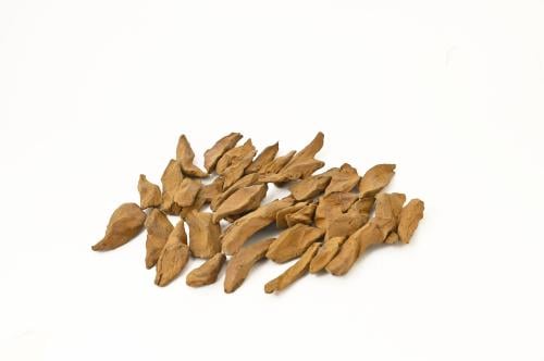 عود المطانيخ