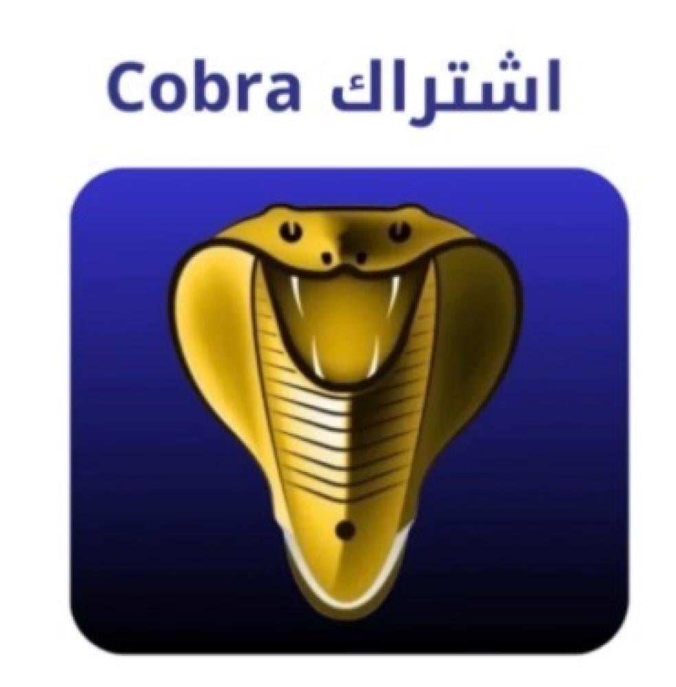 ما هي مباراة كأس العالم وكيفية مشاهدتها