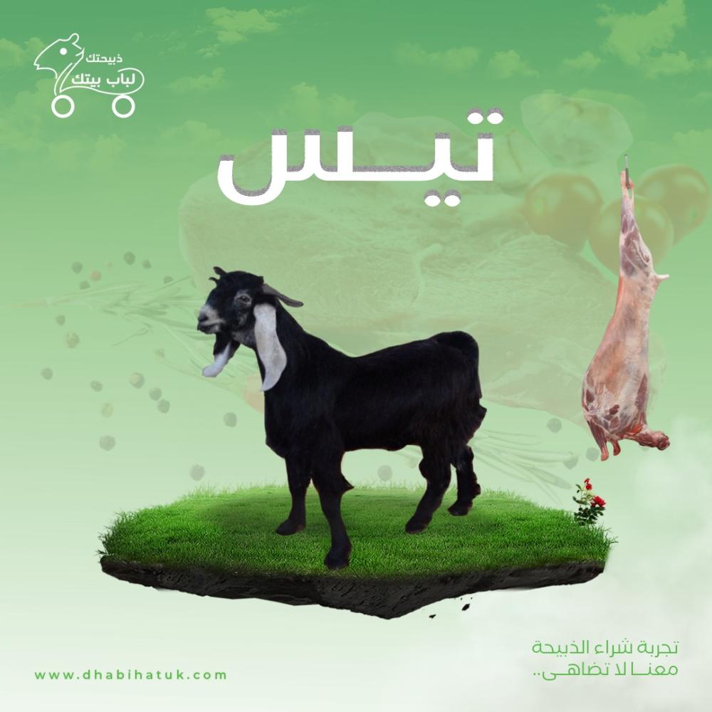 تيس - صغير وزن (9-11) كيلو