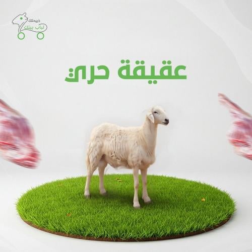 عقيقة حري كبير جبر جذع (26-30) كيلو