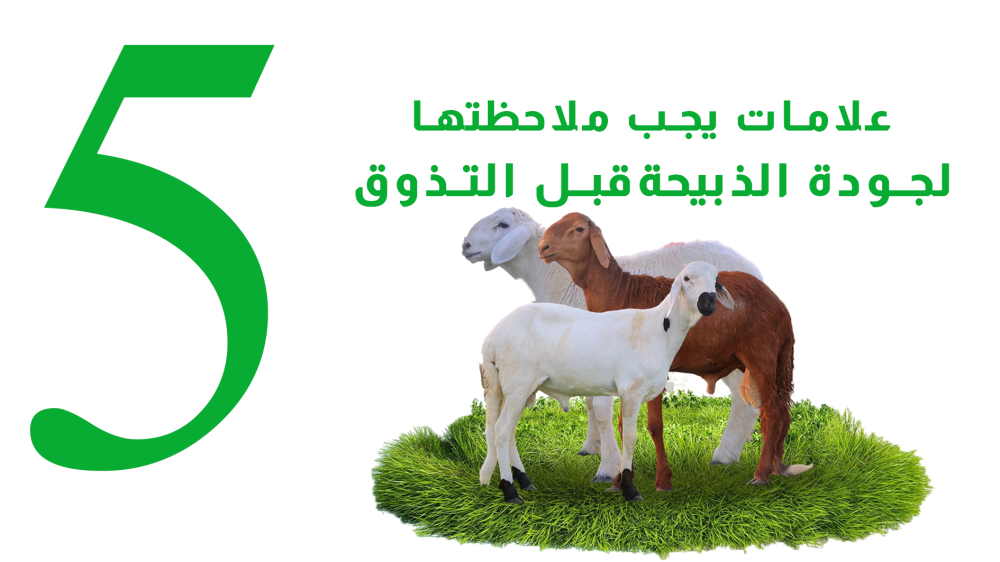 5 علامات يجب ملاحظتها لجودة الذبيحة قبل التذوق