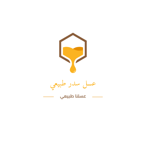 3 كيلو من عسل السدر (بشاوري قطفة أولى)
