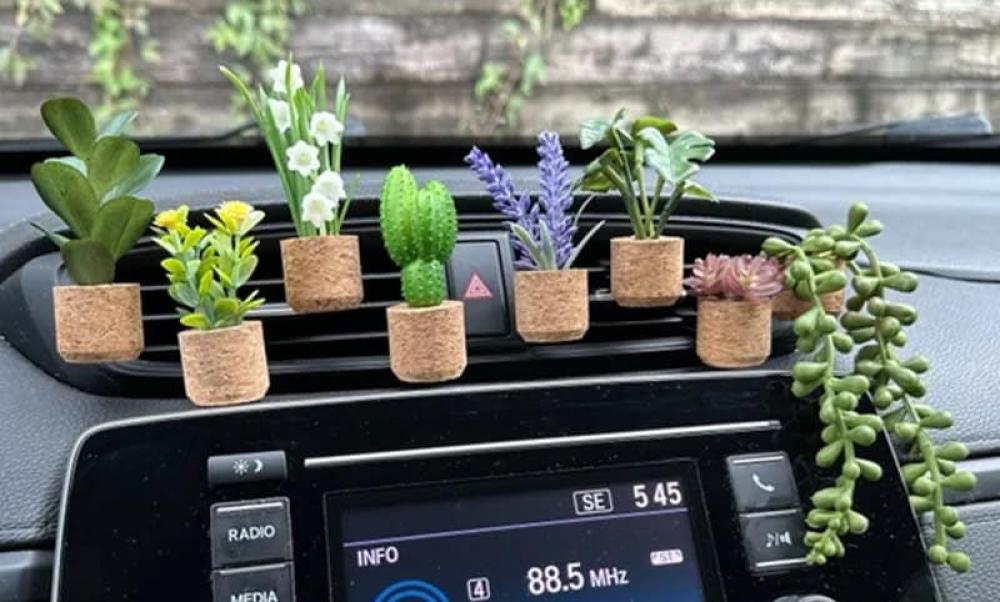 كماليات واكسسوارات السيارات