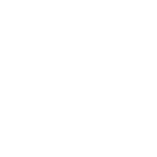 Costume National