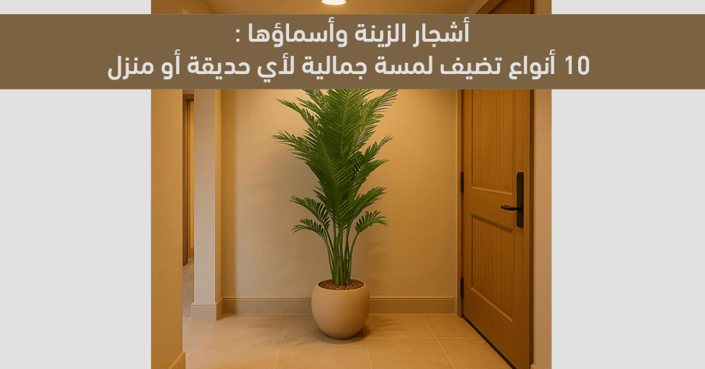 أشجار الزينة وأسماؤها: 10 أنواع تضيف لمسة جمالية لأي حديقة أو منزل