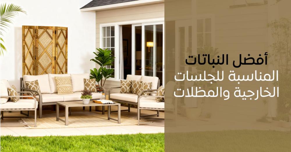 أفضل النباتات المناسبة للجلسات الخارجية والمظلات