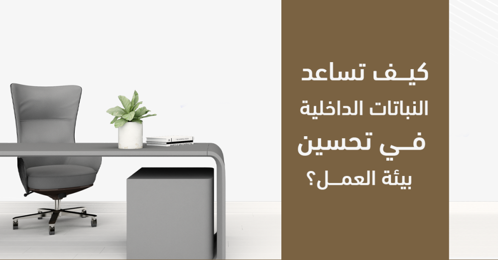 كيف تساعد النباتات الداخلية في تحسين بيئة العمل؟