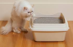 جينفر لوبيز Jennifer Lopez