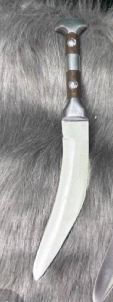 سكين خدامة جنبية