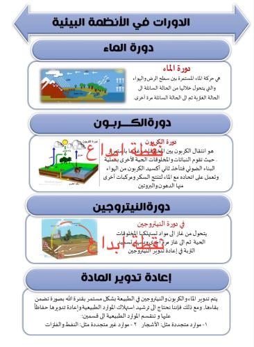 مطوية ( الدورات في الأنظمة البيئية)