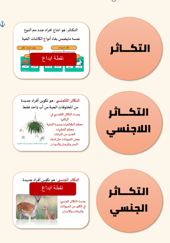مطوية ( التكاثر )