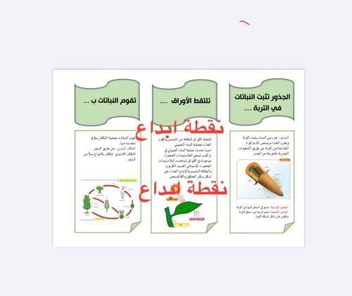 مطوية ( عمليات الحياة في النباتات )