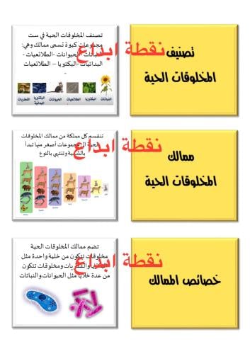 مطوية ( تصنيف المخلوقات الحية )