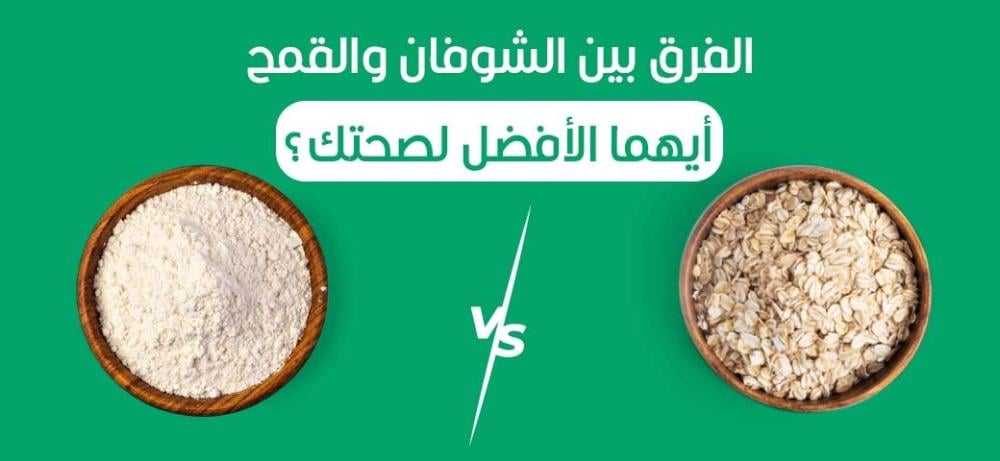 الفرق بين الشوفان والقمح: أيهما الأفضل لصحتك؟