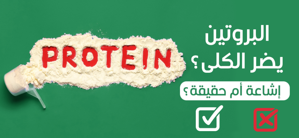 البروتين يضر الكلى؟ إشاعة أم حقيقة؟