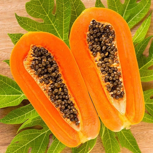 بذور البابايا التايلندية ( Carica papaya )