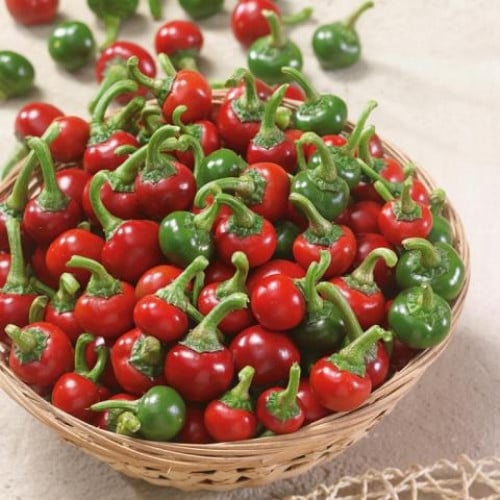 بذور فلفل الكرز الأحمر ( Cherry pepper )