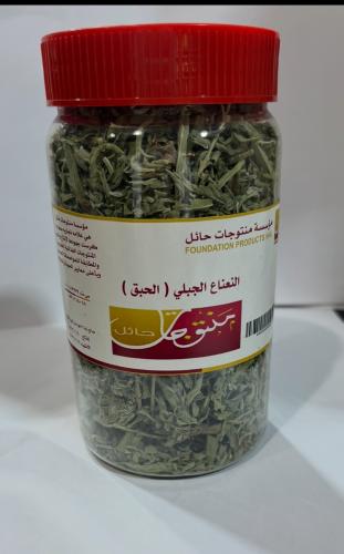 نعناع جبلي (حبق)