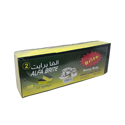 الفا برايت | اسفنج تنظيف مع وجه ليف - اخضر
