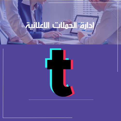 إدارة حملة اعلانية على منصة التيك توك