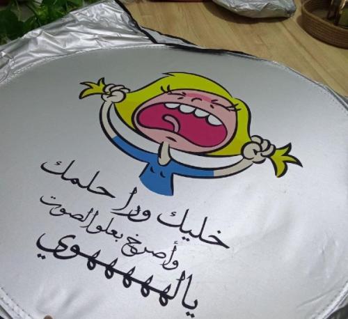 شماسة السيارة (Sunshade)