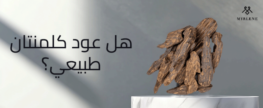 هل عود كلمنتان طبيعي