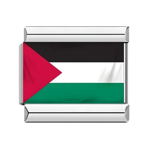 تشارم علم فلسطين