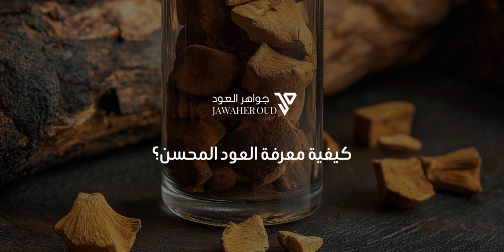العود المحسن