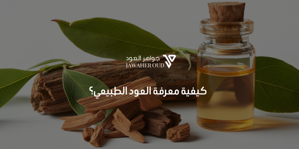 كيفية معرفة العود الطبيعي