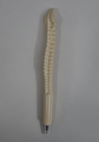 قلم العامود الفقري - vertebral pen