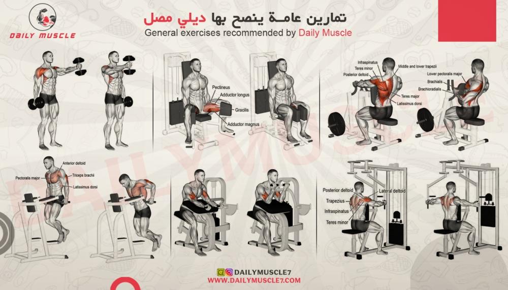 افضل التمارين الرياضية للحصول على جسم رياضي صحي ( الجدول الثالث )