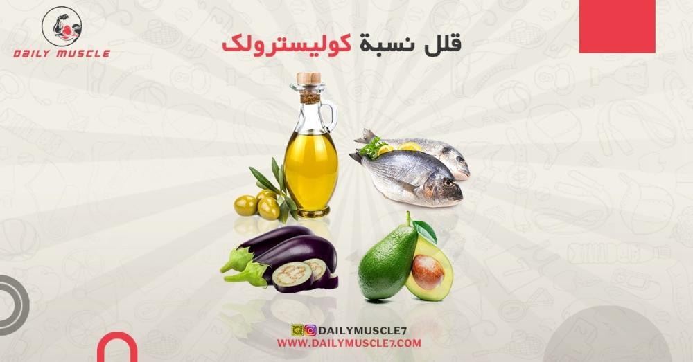 Important Foods to Reduce Cholesterol Levels