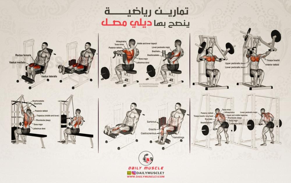 افضل التمارين الرياضية للحصول على جسم رياضي صحي ( الجدول الاول)