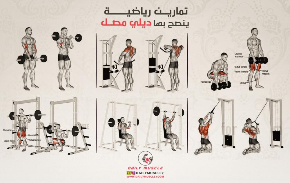 افضل التمارين الرياضية للحصول على جسم رياضي صحي ( الجدول الثاني)