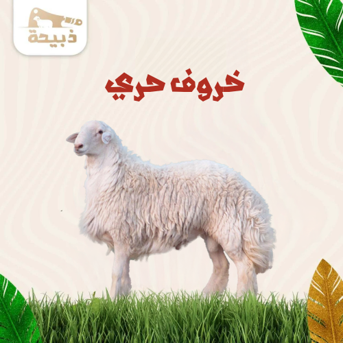 حري جذع صغير ( 22 لـ 23 كيلو )