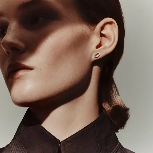 Hermes Earrings