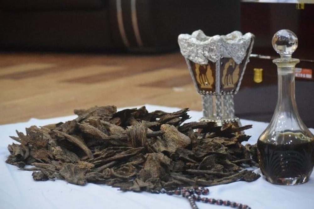 أفضل أنواع العود في السعودية: دليل شامل لعشاق الروائح الفاخرة