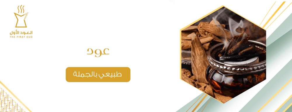 عود طبيعي بالجملة