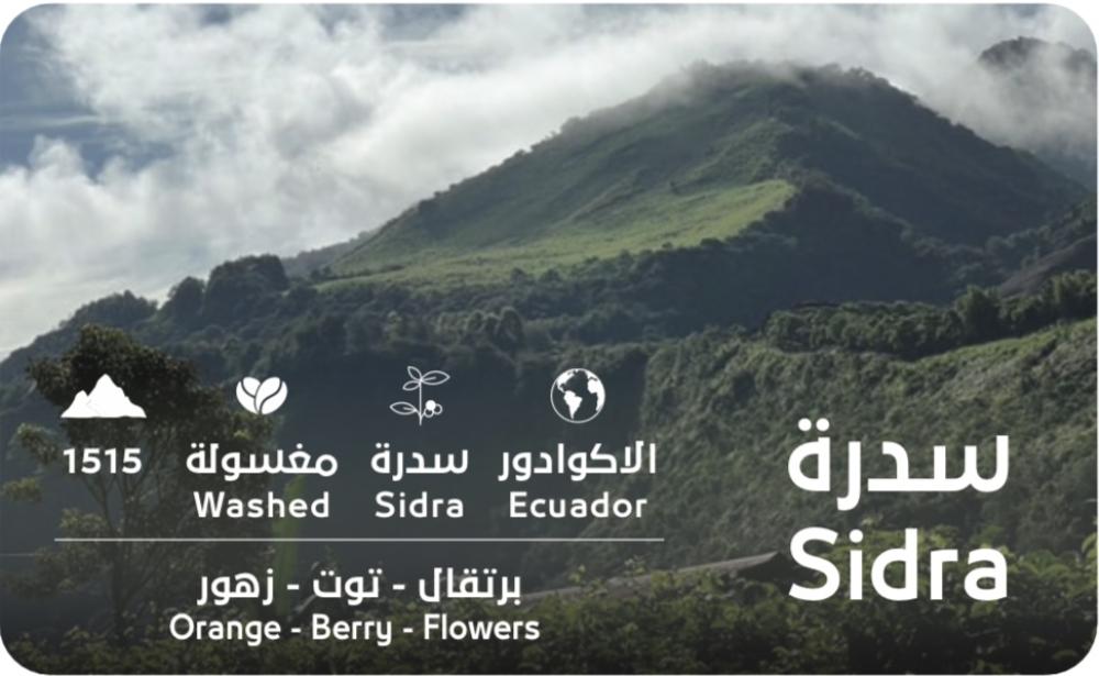 سدرة - الاكوادور مغسول 100 قرام