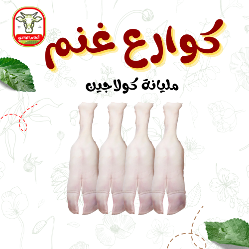كوارع غنم