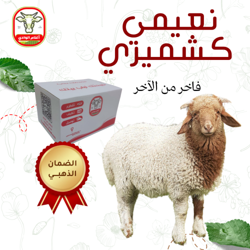 نعيمي كشميري لباني 8-9 ك