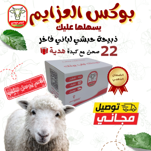 بوكس العزايم
