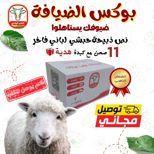بوكس الضيافة
