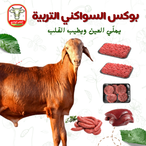 بوكس السواكني