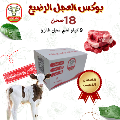 بوكس العجل الرضيع