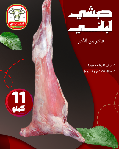 حبشي لباني 11