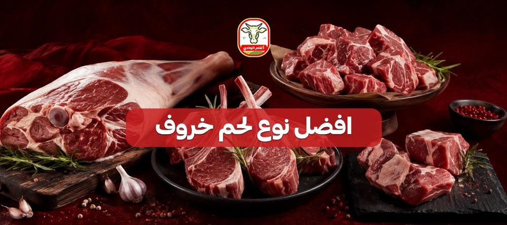 افضل نوع لحم خروف